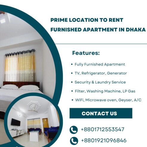 2 Studio Apartment RENT in Bashundhara