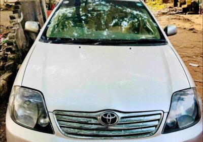 482191491_505995212546359_8472367744660673660_n