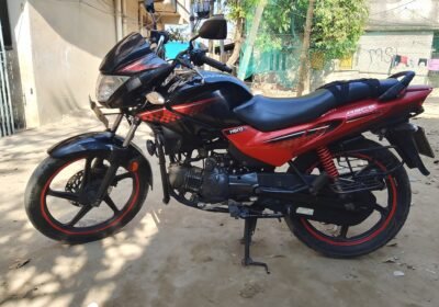 484151187_1186907186348805_5362500774075722827_n