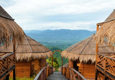 489858886_995205282747272_6627828511464162313_n