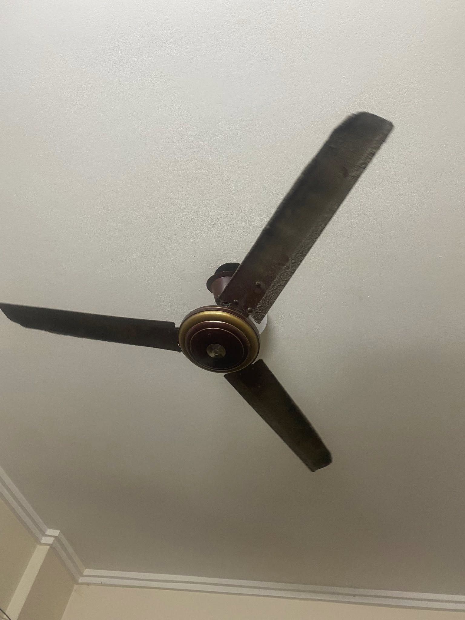 Sakura VIP Celling Fan For Sale in Dhaka