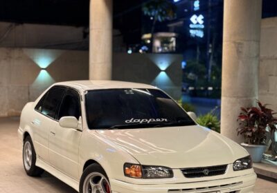 492001002_10239483835620534_7042727384060155754_n