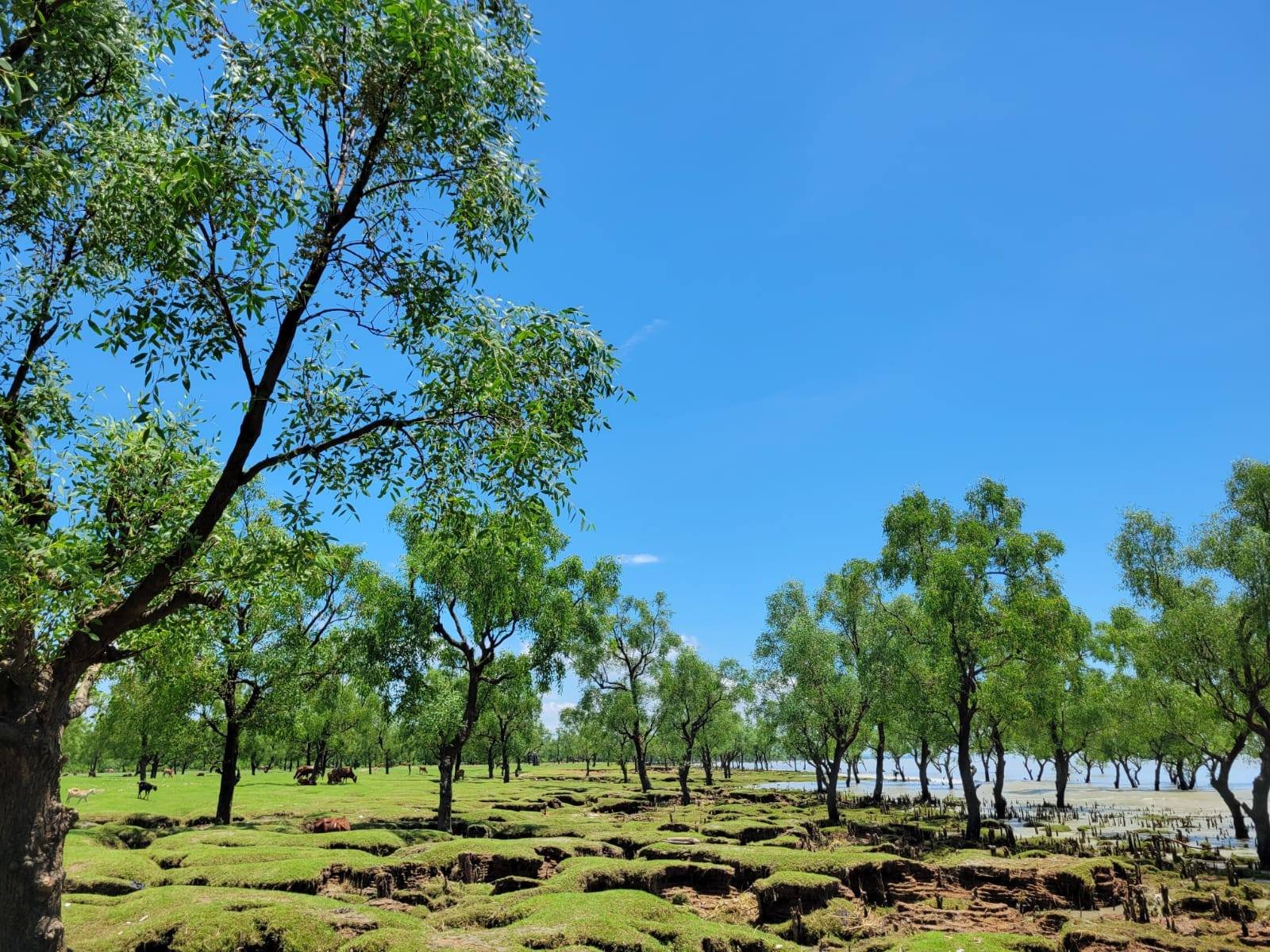 Sitakunda Tour package in Dhaka