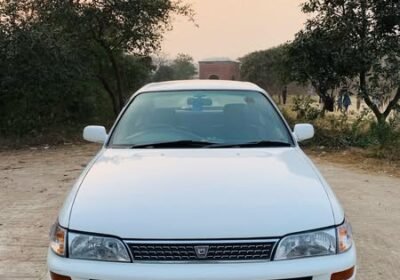 482318483_619344881021874_698094850777360239_n