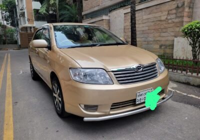 493686918_2652980314895599_7118411340402958108_n