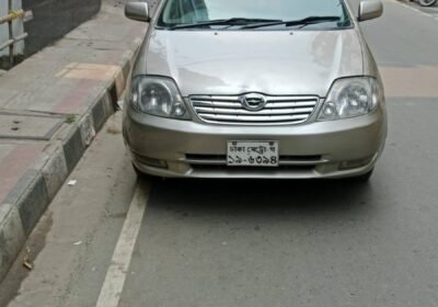 495023480_122137962170633294_6407171299348636027_n