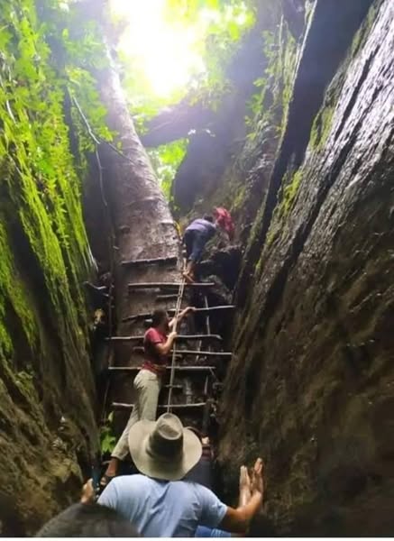 Marayon Thong Package Tour in Bangladesh Dhaka