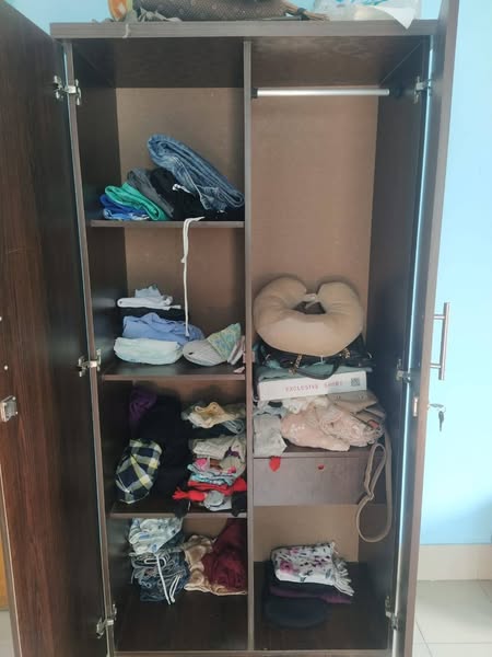 Malaysian Wood Almirah For Sale in Chittagong