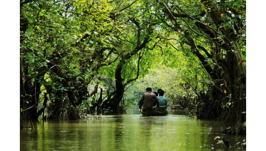 Ratarpul Tour Package in Sylhet