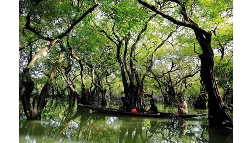 Ratarpul Tour Package in Sylhet