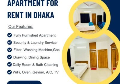 WhatsApp-Image-2025-06-17-at-9.25.44-AM