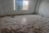 Bachelore House For Rent in Dhaka Mirpur