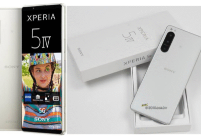 Untitled-design-11-2