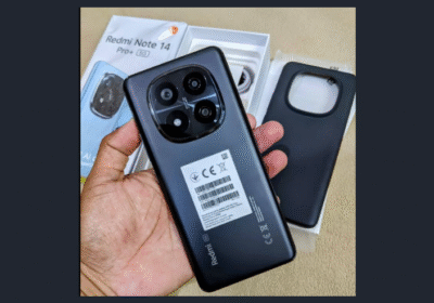 Untitled-design-54-1